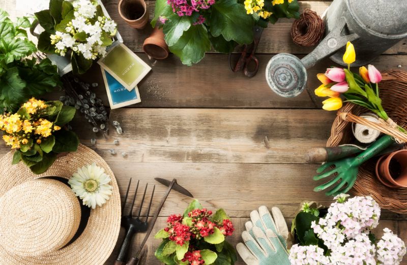 garden tools on a wood background