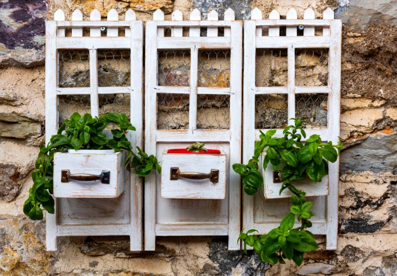 flowers hanging on wall